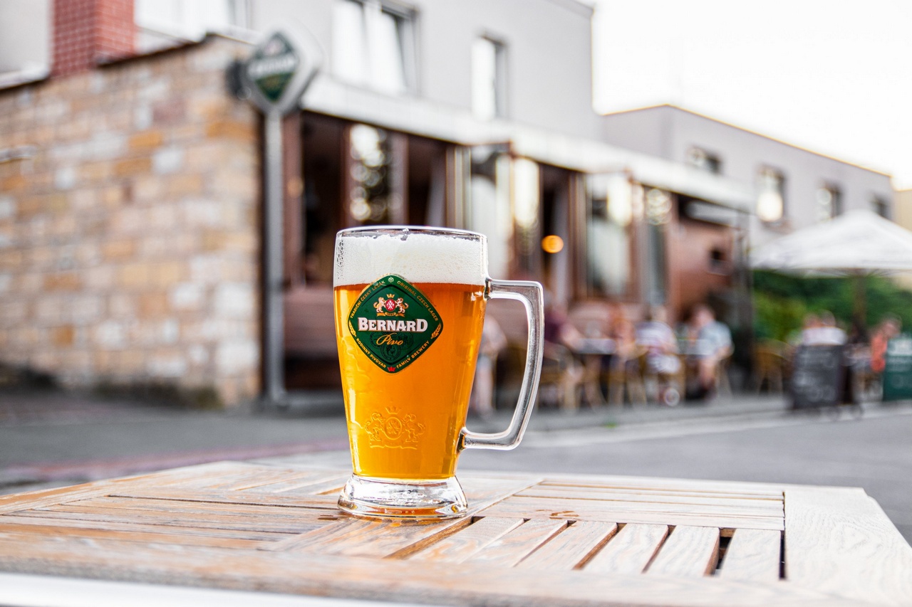 Pivo Bernard